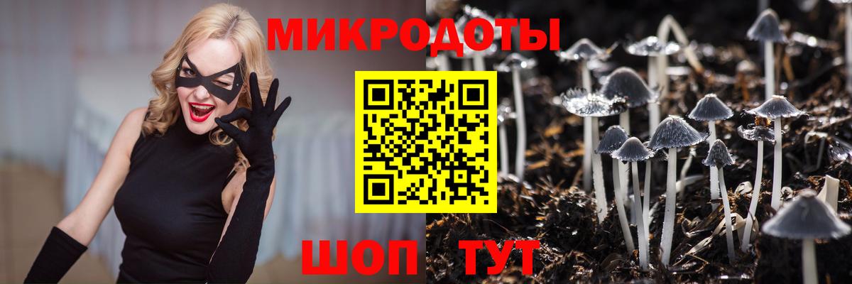 где купить наркоту  Псилоцибиновые грибы Cubensis  Вход с VPN  Белебей 
